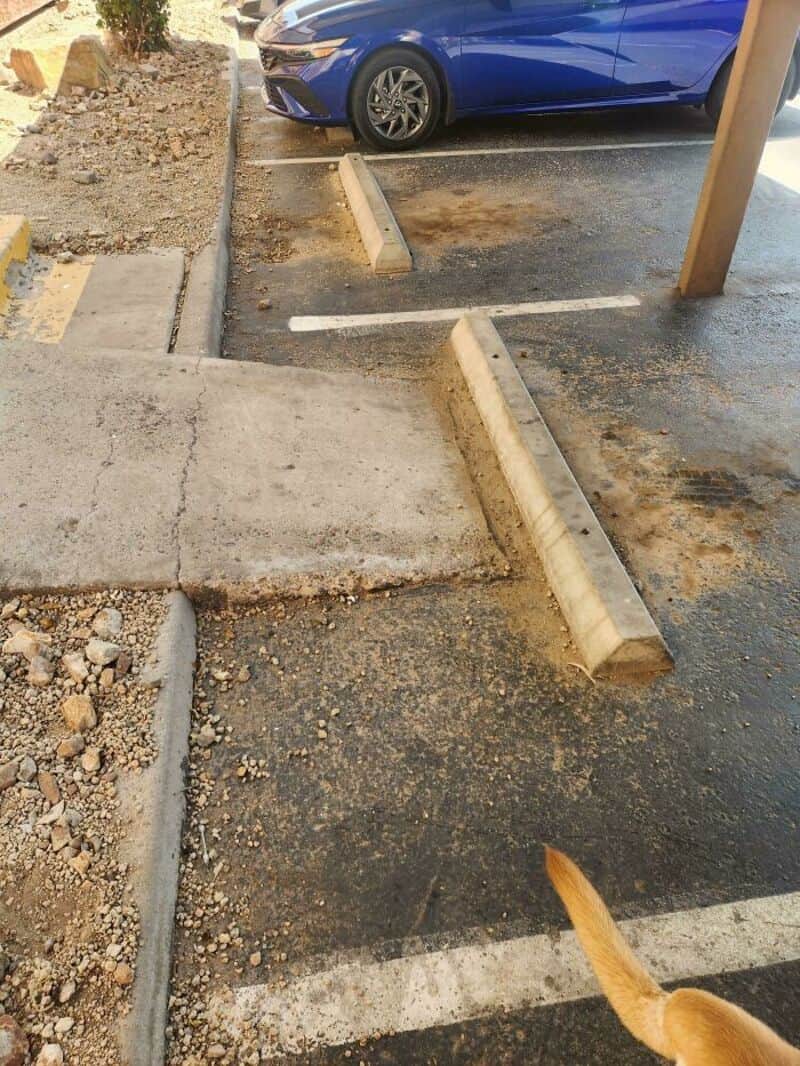 Parking lot with poorly aligned parking blocks and a dog in the foreground.