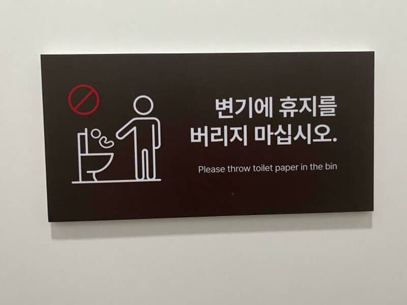 Sign instructs to throw toilet paper in the bin, with a crossed-out toilet paper icon.