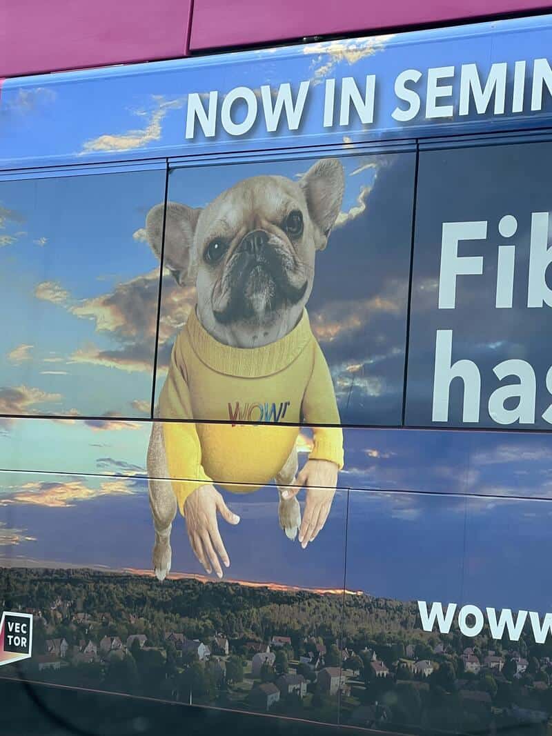 Now in semi- distance dog with yellow sweater on a vehicle ad banner.
