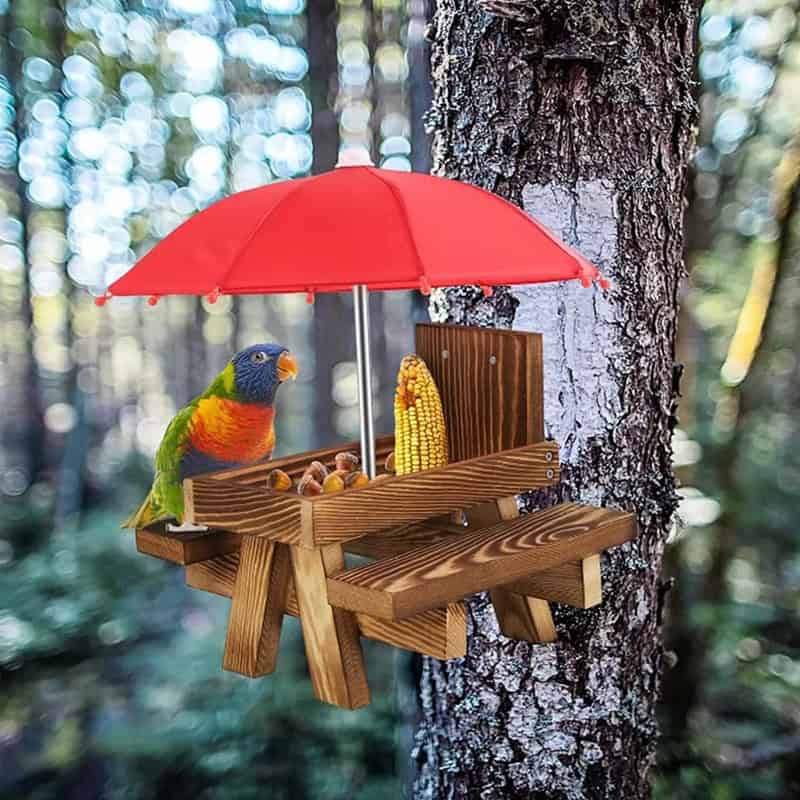 Colorful parrot perched on a wooden bird feeder attached to a tree, with a red umbrella shade.
