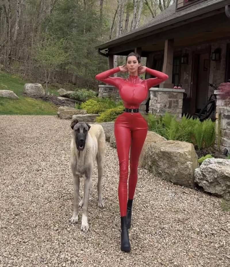 Woman in red latex catsuit with black boots posing beside a large dog on a gravel path outside a log.