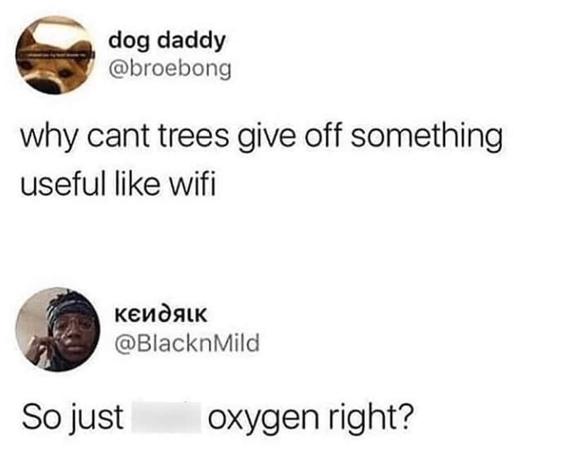 Dog daddy's tweet about trees giving off WiFi and a reply about oxygen.