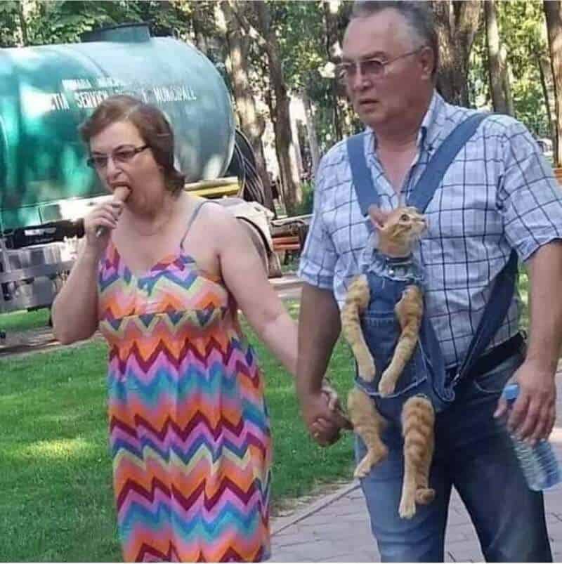 Woman in colorful dress and man in plaid shirt walking with a cat in a harness.