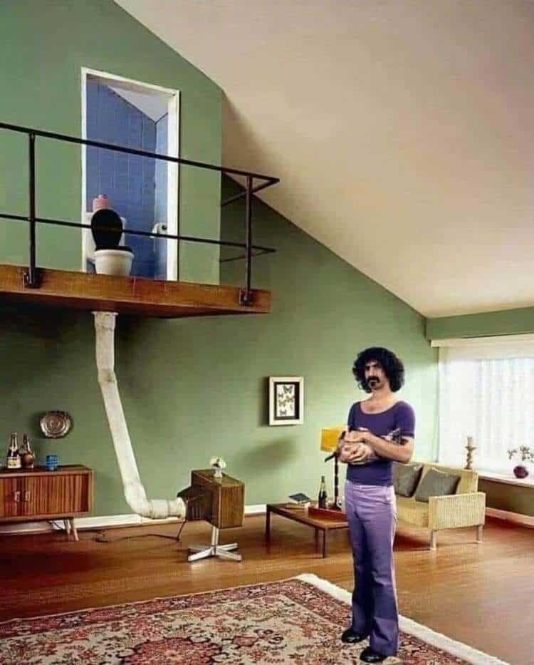 Man with curly hair and mustache holding a cat in a living room.