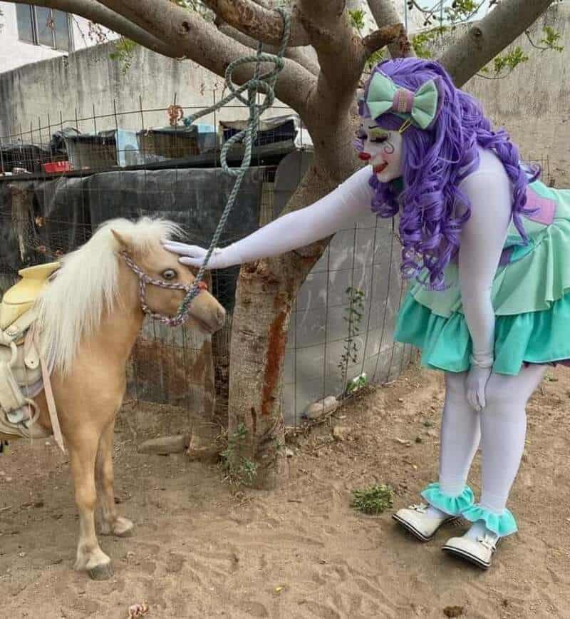 Clown with purple hair and a green dress petting a small horse in a yard.