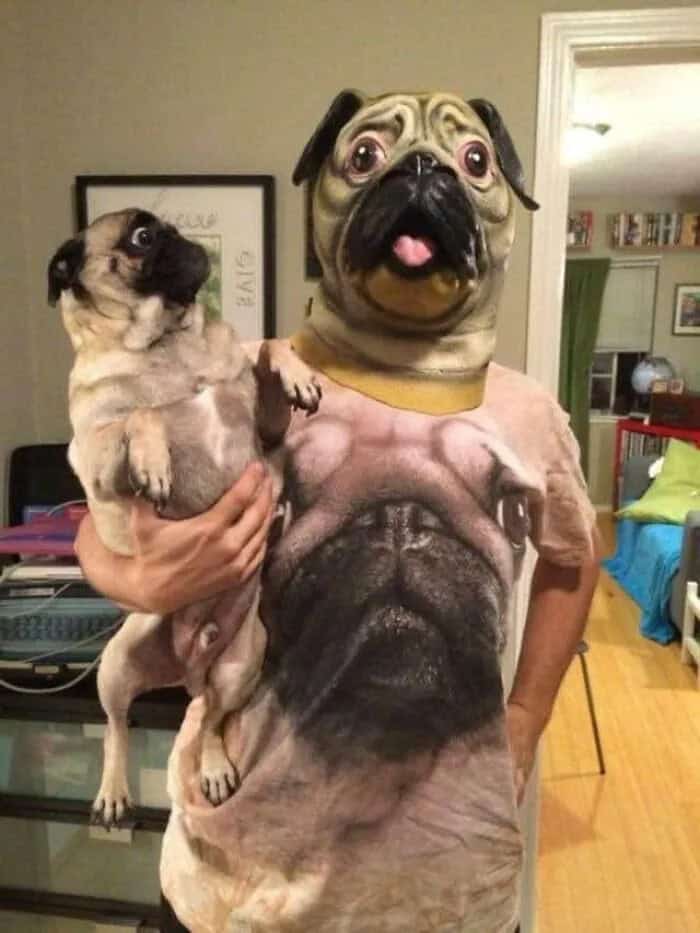 Person with pug mask and pug shirt holding a pug puppy in a room.