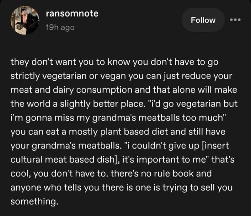 Instagram post discussing vegetarian diet and cultural meat dishes.