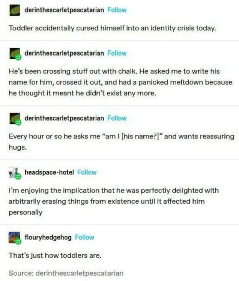 A series of social media comments about a toddler's identity crisis and emotional reactions.