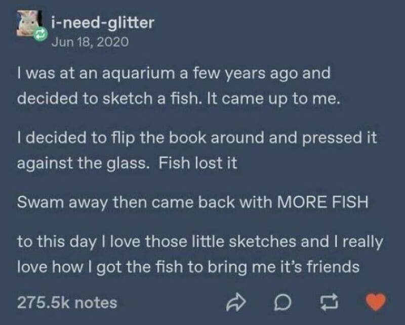 A person describes sketching a fish at an aquarium and flipping a book to make it look like a fish.