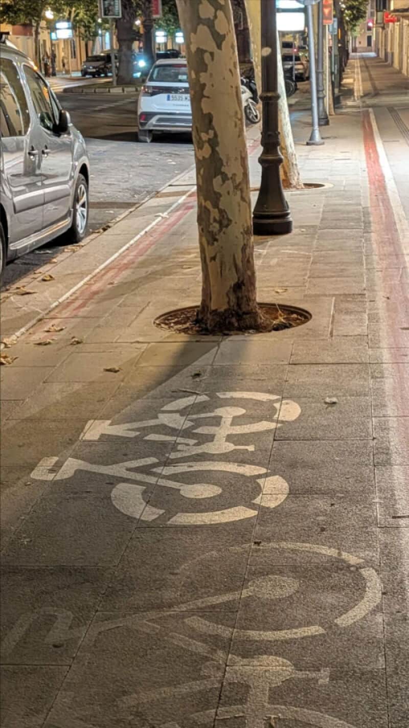 Bike lane with faded markings and a tree in the middle of the sidewalk.