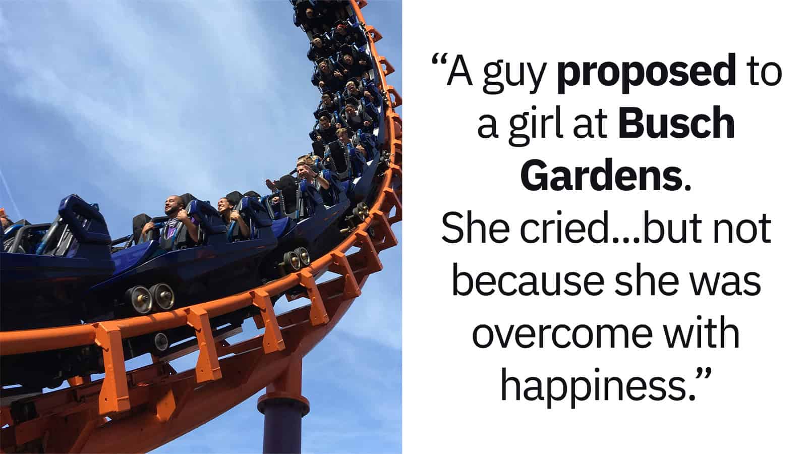 Roller coaster with people and a quote about a proposal at Busch Gardens.