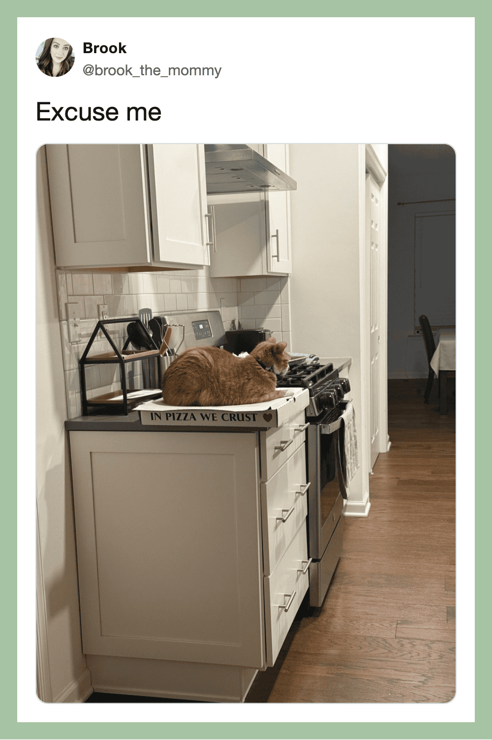 Cat sitting on kitchen counter with a pizza box, captioned 'In pizza we crust'.
