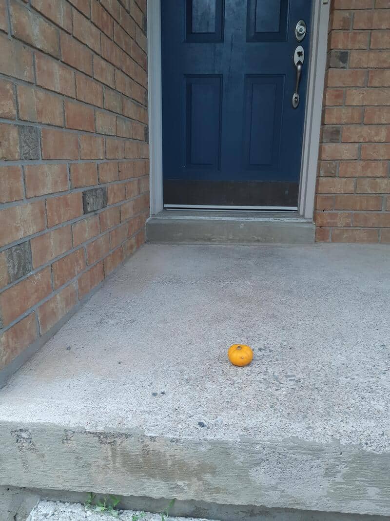 Small orange pumpkin on concrete porch in front of blue door with brick walls.