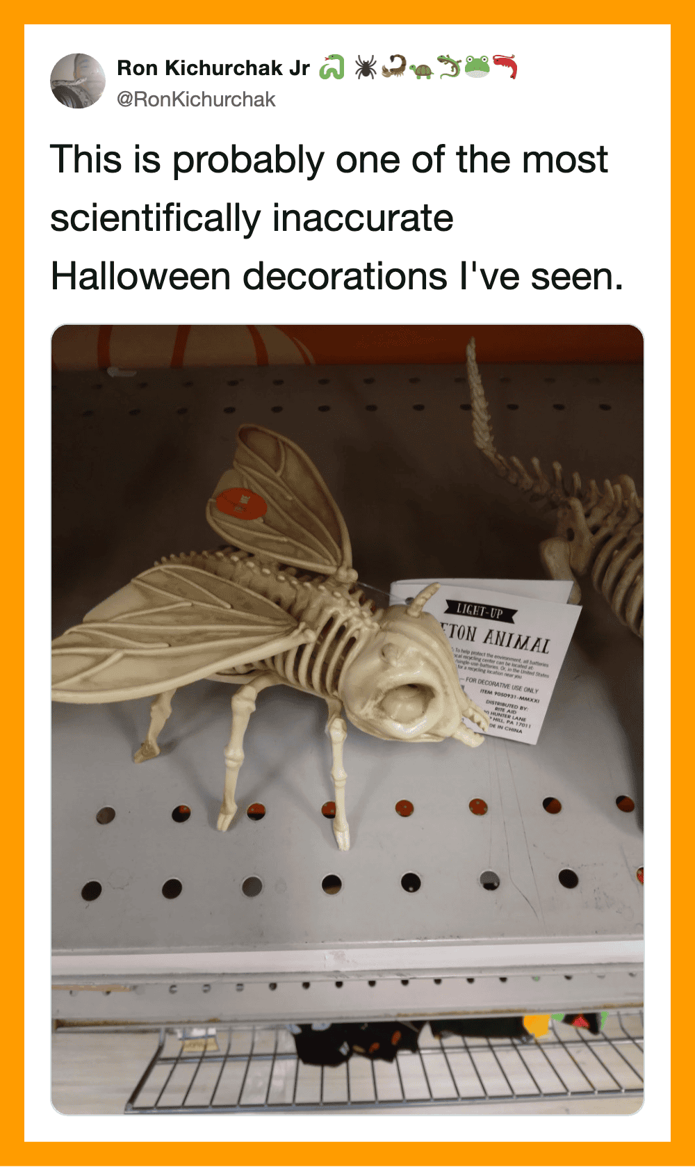 Skeleton with butterfly wings and a pumpkin on its nose, Halloween decoration.