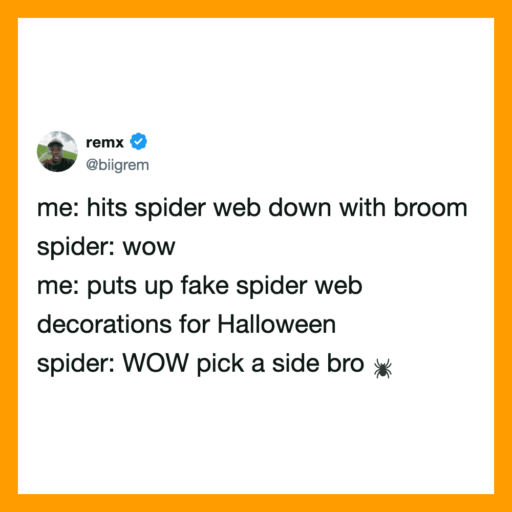 A humorous Halloween meme about a spider web and decorations.