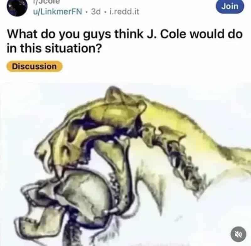 What do you guys think J. Cole would do in this situation?.