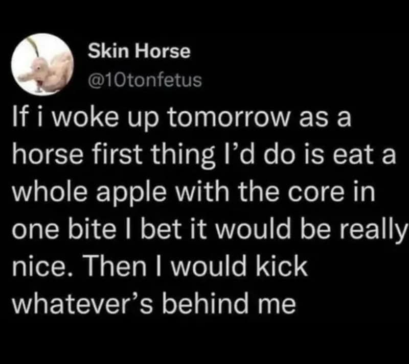 Humorous tweet about waking up as a horse and eating an apple.