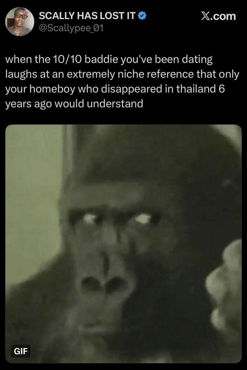 A gorilla with a surprised expression, looking to the side.