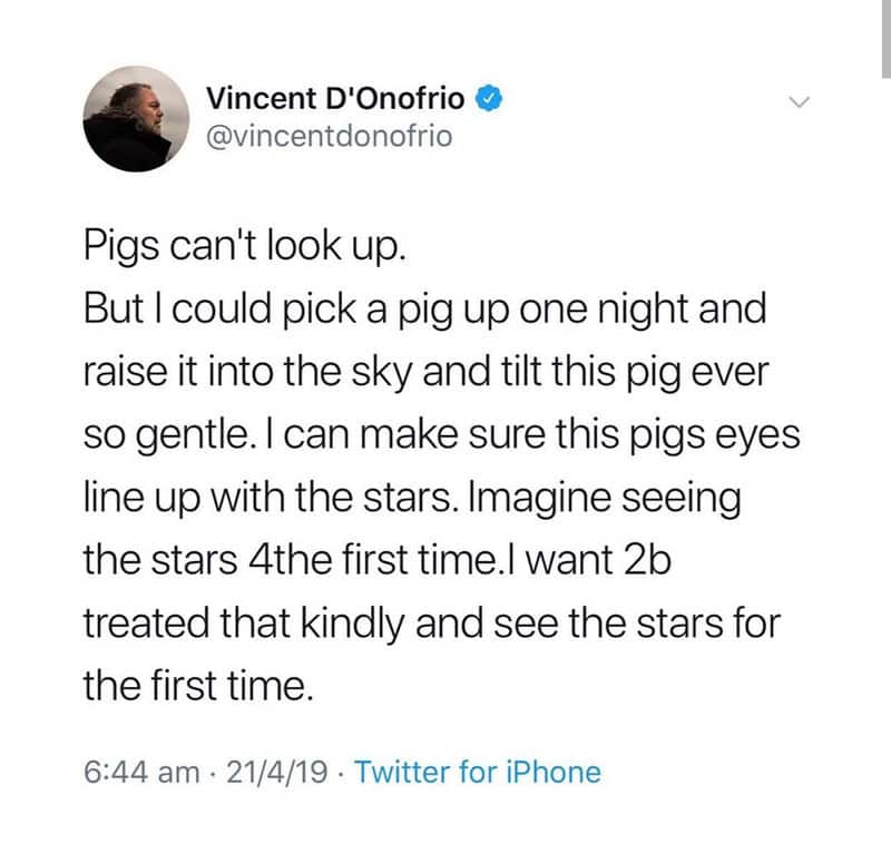 Vincent D'Onofrio tweet about pigs and stars.