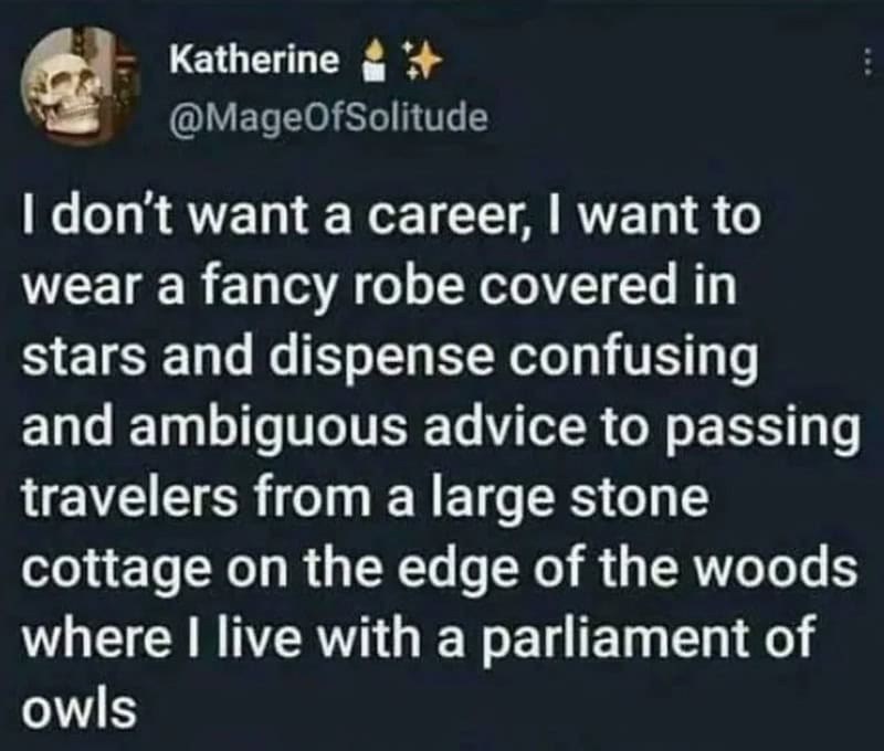 Quote about wanting a fancy star-covered robe and owls in a cottage.