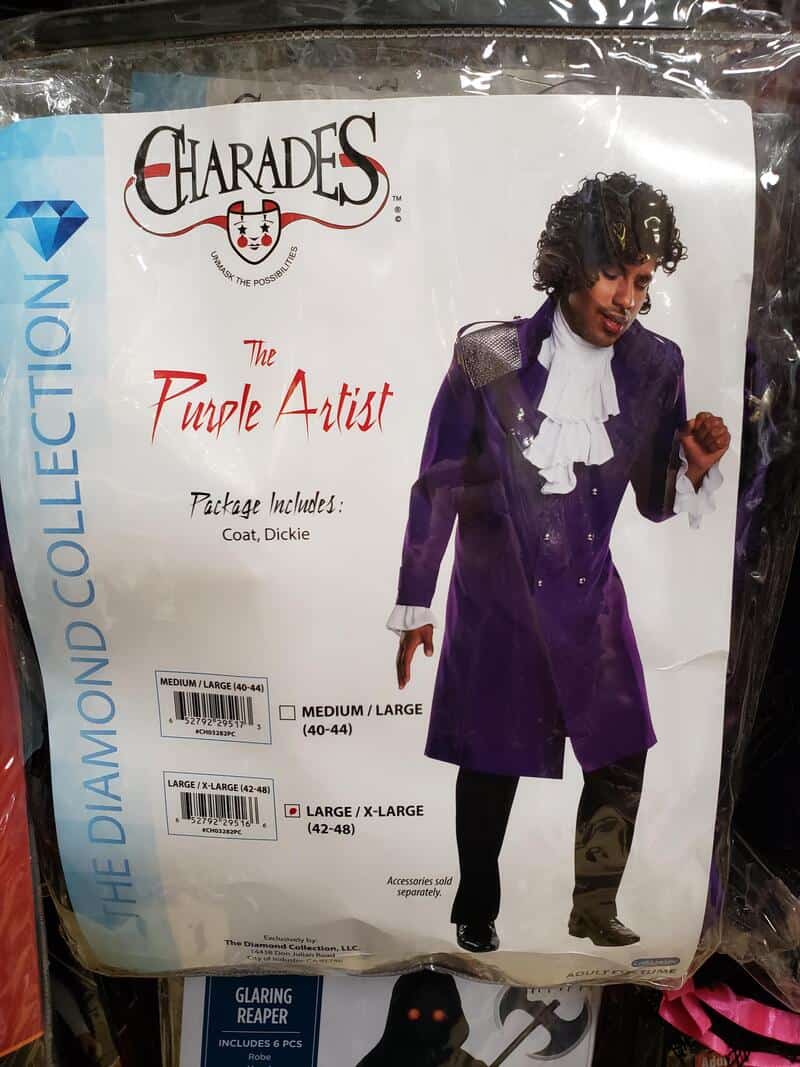Charades The Purple Artist costume with coat and Dickie, size options listed.
