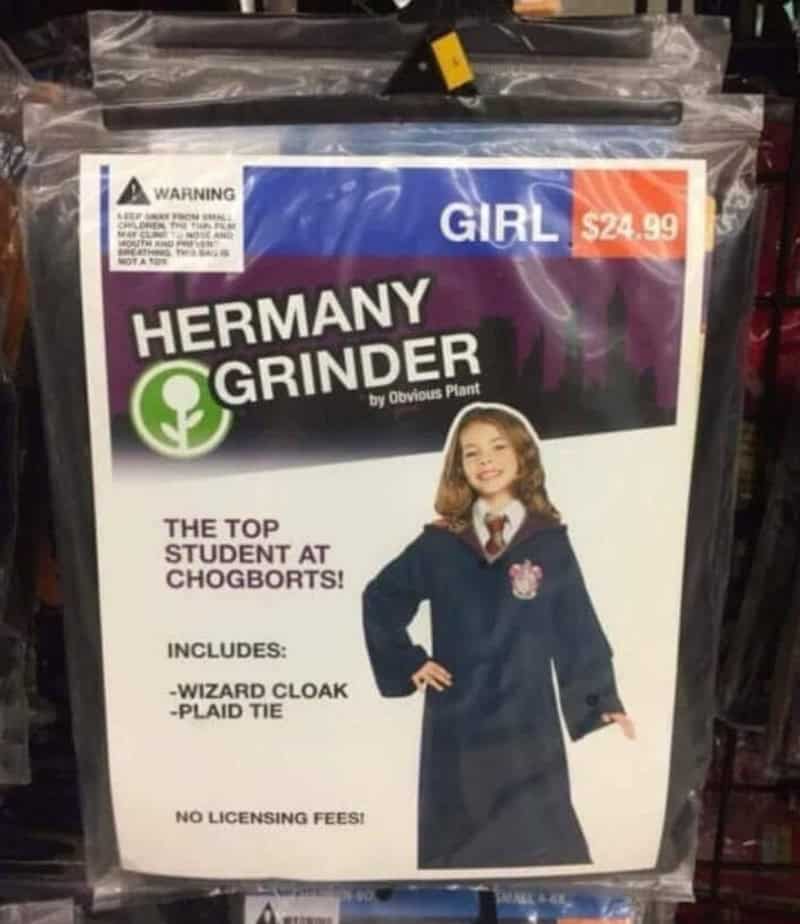 Hermany Grinder girl costume with wizard cloak and plaid tie, $24.99, for Halloween.
