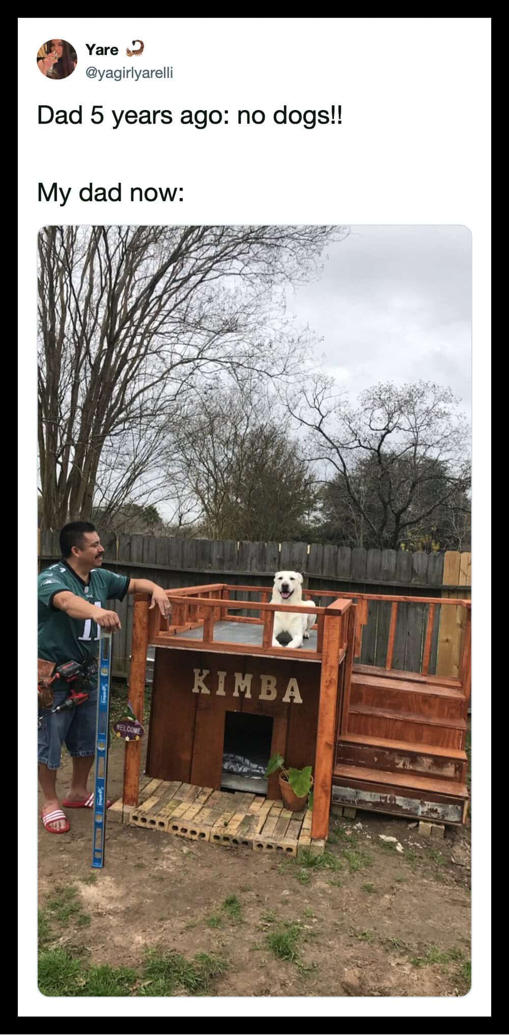 Dad 5 years ago: no dogs!! My dad now: a dog sitting on a wooden structure.