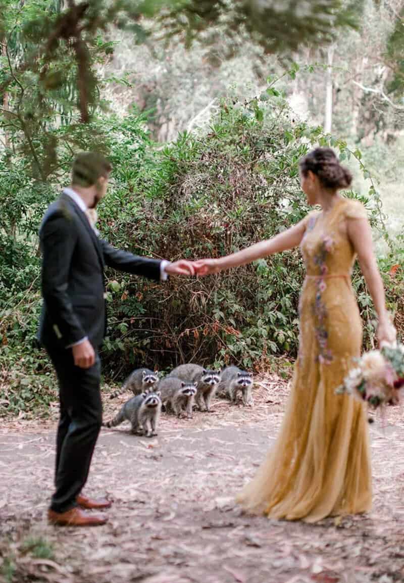 Couple holding hands in a forest with raccoons in the background.
