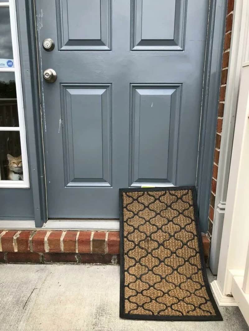 Cat peeking through window beside a blue door with a doormat outside.