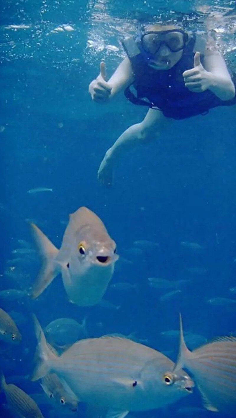 Person in scuba gear giving thumbs up underwater with fish around.