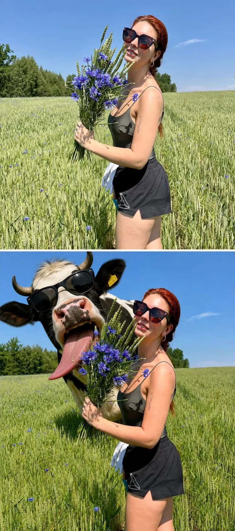 Woman in sunglasses holding a bouquet of flowers, with a cow wearing sunglasses and a flower bouquet.