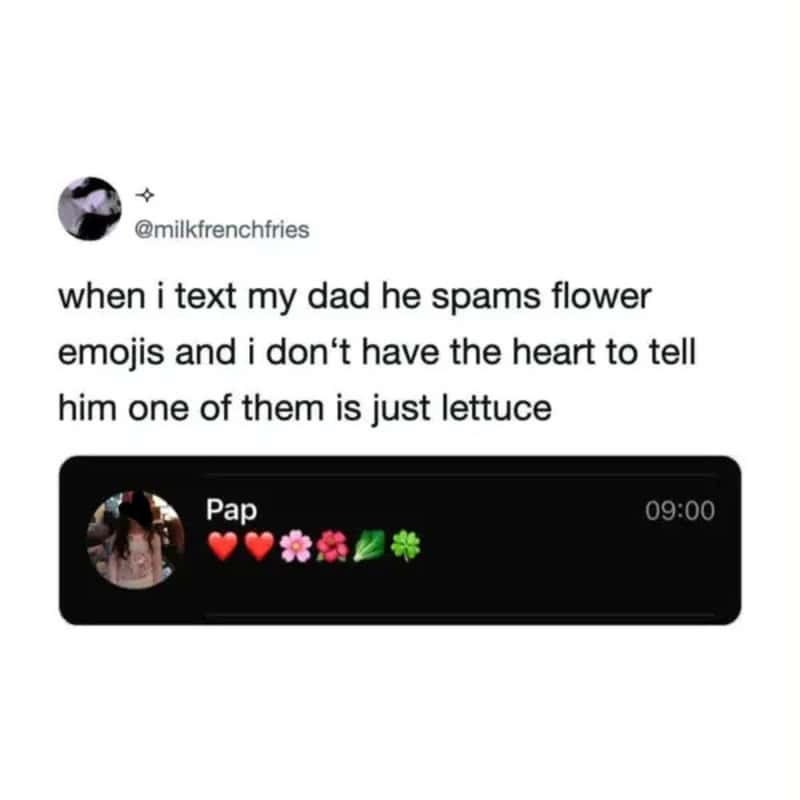 Text message with flower emojis and a heart emoji from 'Pap' at 09:00.