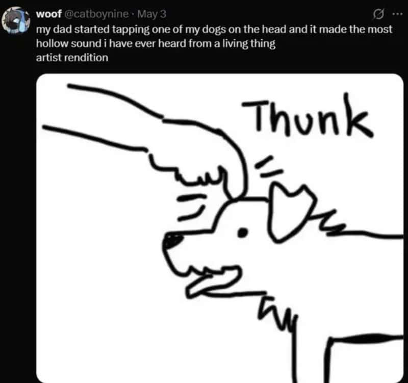 Drawing of a dog with a hand tapping its head, with the word 'Thunk' above.