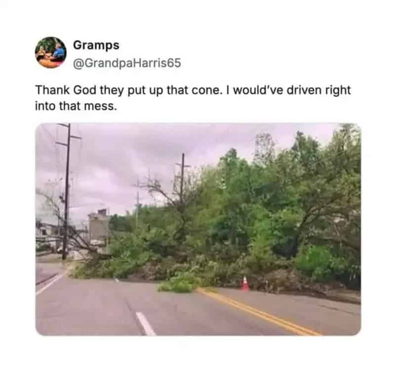 Downed trees and debris blocking the road after a storm, with a traffic cone and power lines.