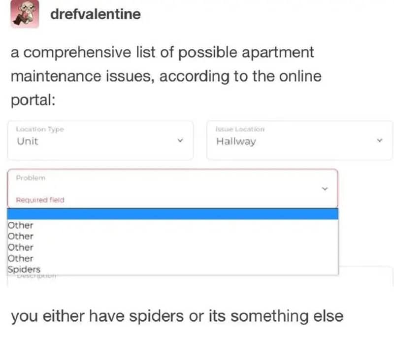 A list of apartment maintenance issues with options including spiders and other problems.