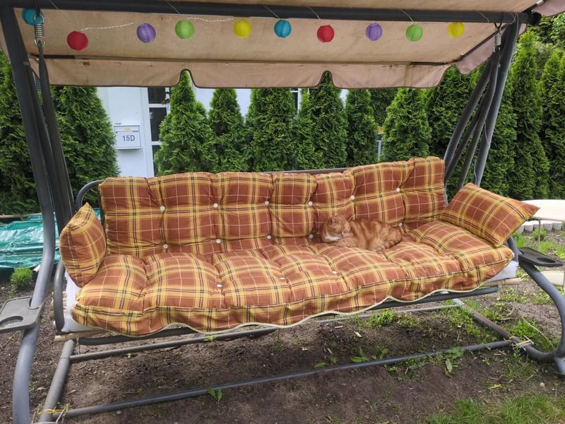 A brown plaid cushioned outdoor swing with a small dog resting on it.