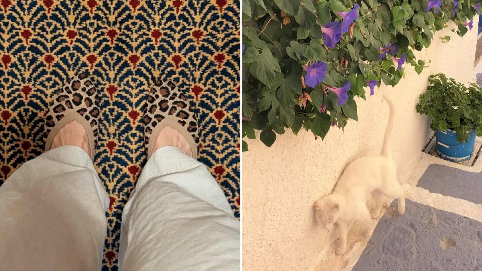 Person's feet on a patterned carpet with a leopard print design.