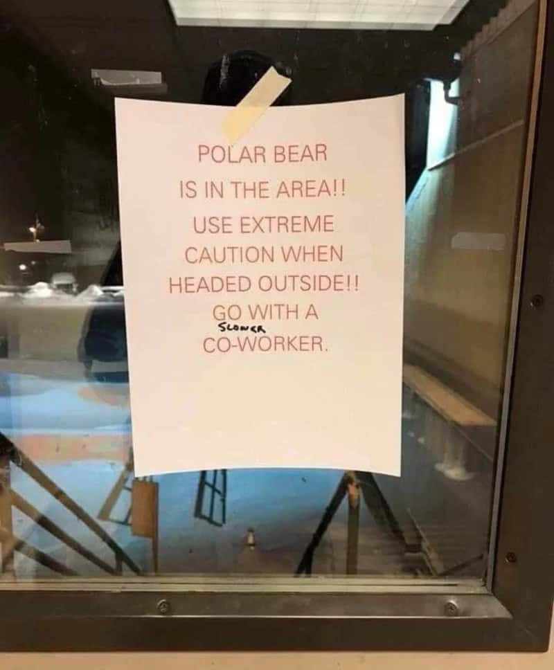 Warning sign about polar bears with caution advice and co-worker note.