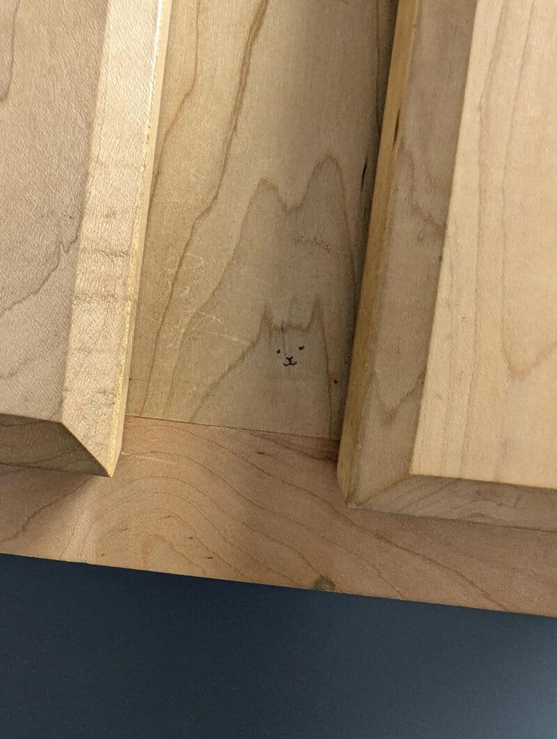 Small bunny drawing between wooden planks in a wall.