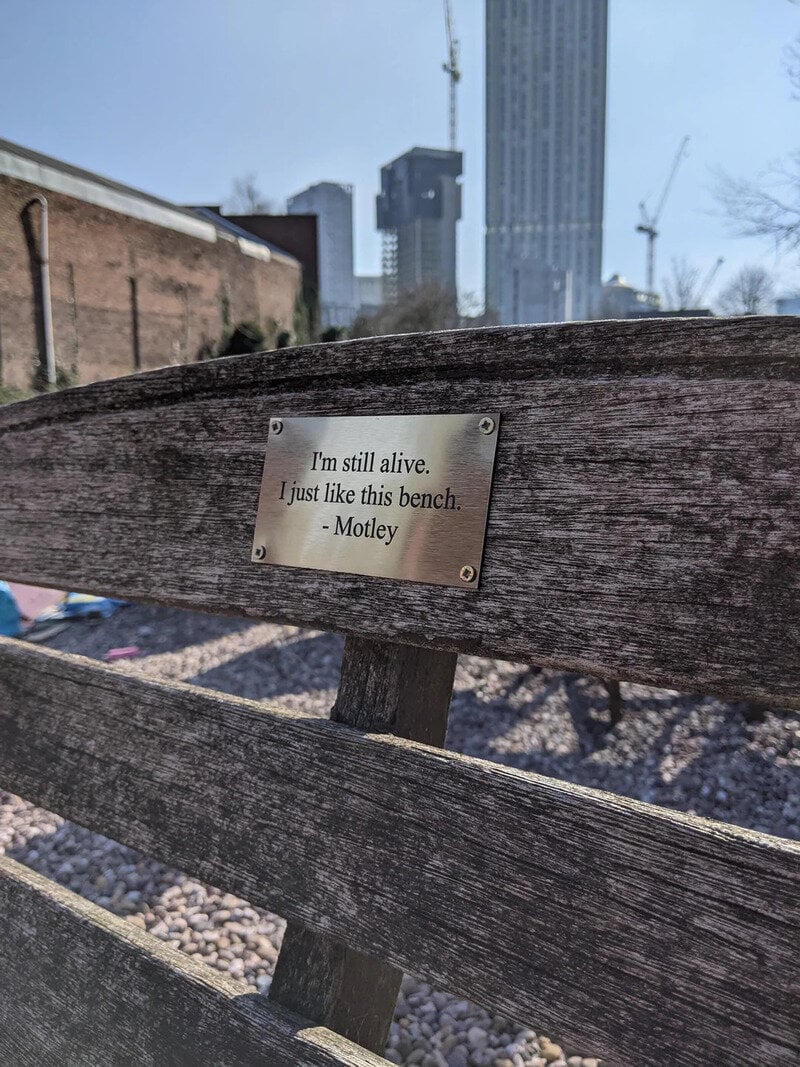 Bench with a plaque that reads "I'm still alive. I just like this bench. - Motley".