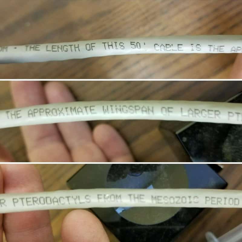 Close-up of a white cable with handwritten text about its length, wingspan, and dinosaur origin.