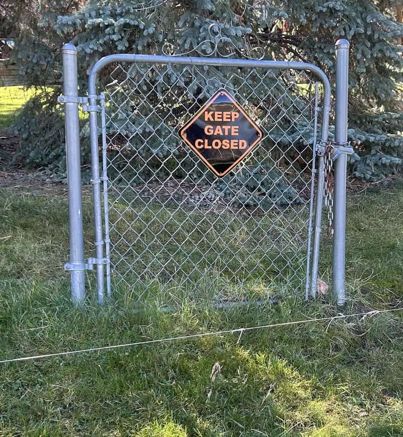Keep gate closed sign on chain-link fence in grassy yard.