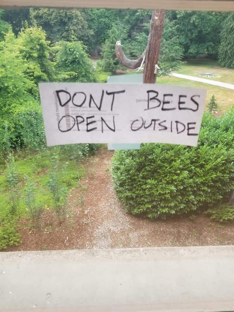Dont Bees Open Outside sign hanging from a wooden post in a garden area.