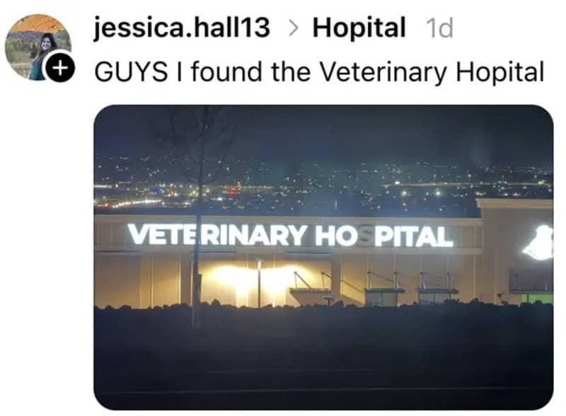 Night view of a veterinary hospital with illuminated sign reading 'VETERINARY HOSPITAL'.