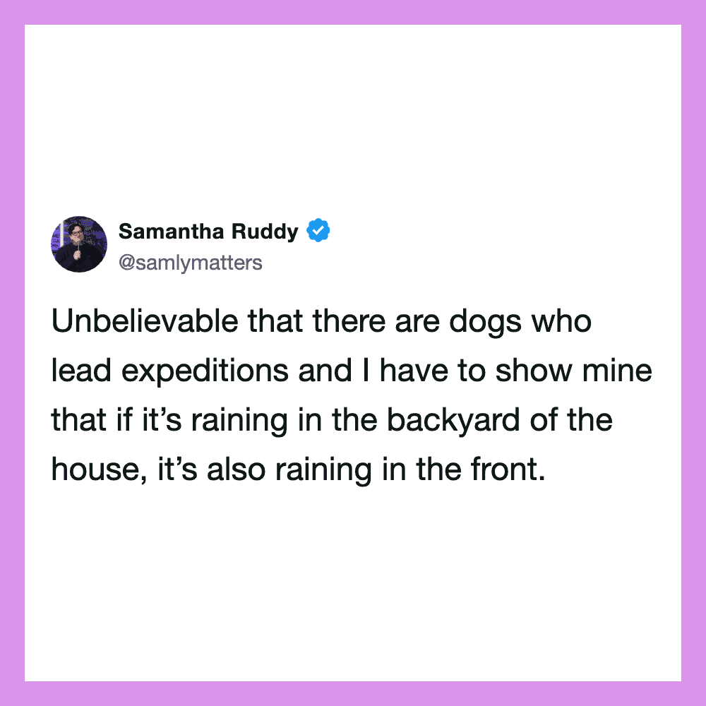 Samantha Ruddy's tweet about dogs leading expeditions and rain in the backyard and front.