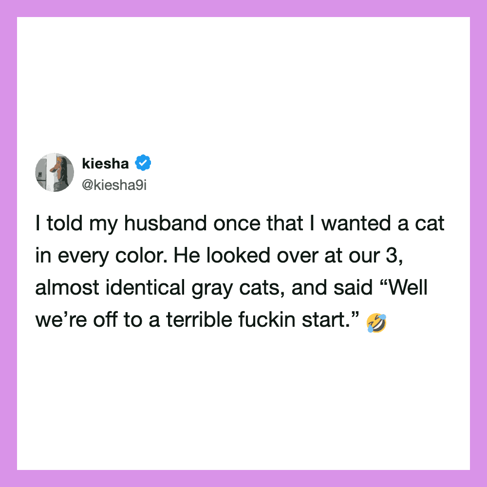 Woman's tweet about wanting a cat in every color, husband joking about gray cats.