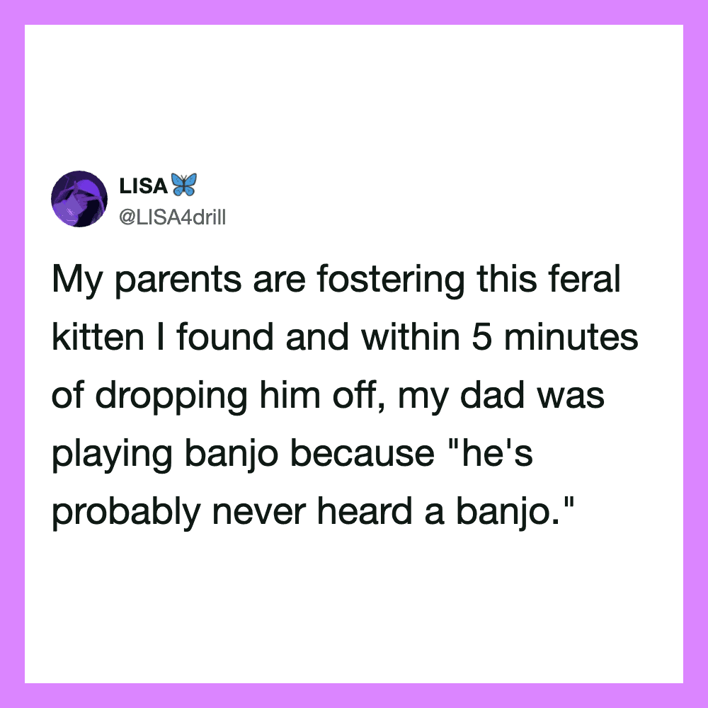Tweet about fostering a feral kitten and dad playing banjo.