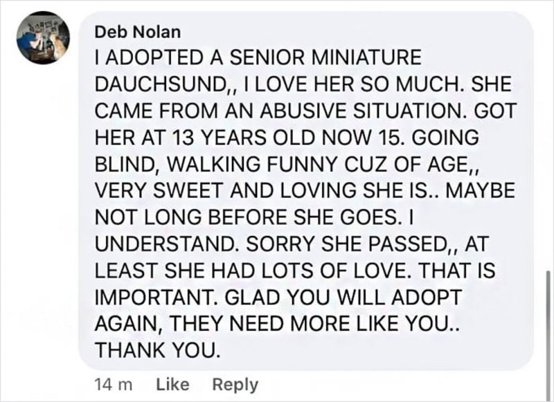 I ADOPTED A SENIOR MINIATURE DAUCHSHUND, I LOVE HER SO MUCH. SHE CAME FROM AN ABUSIVE SITUATION. GOT.