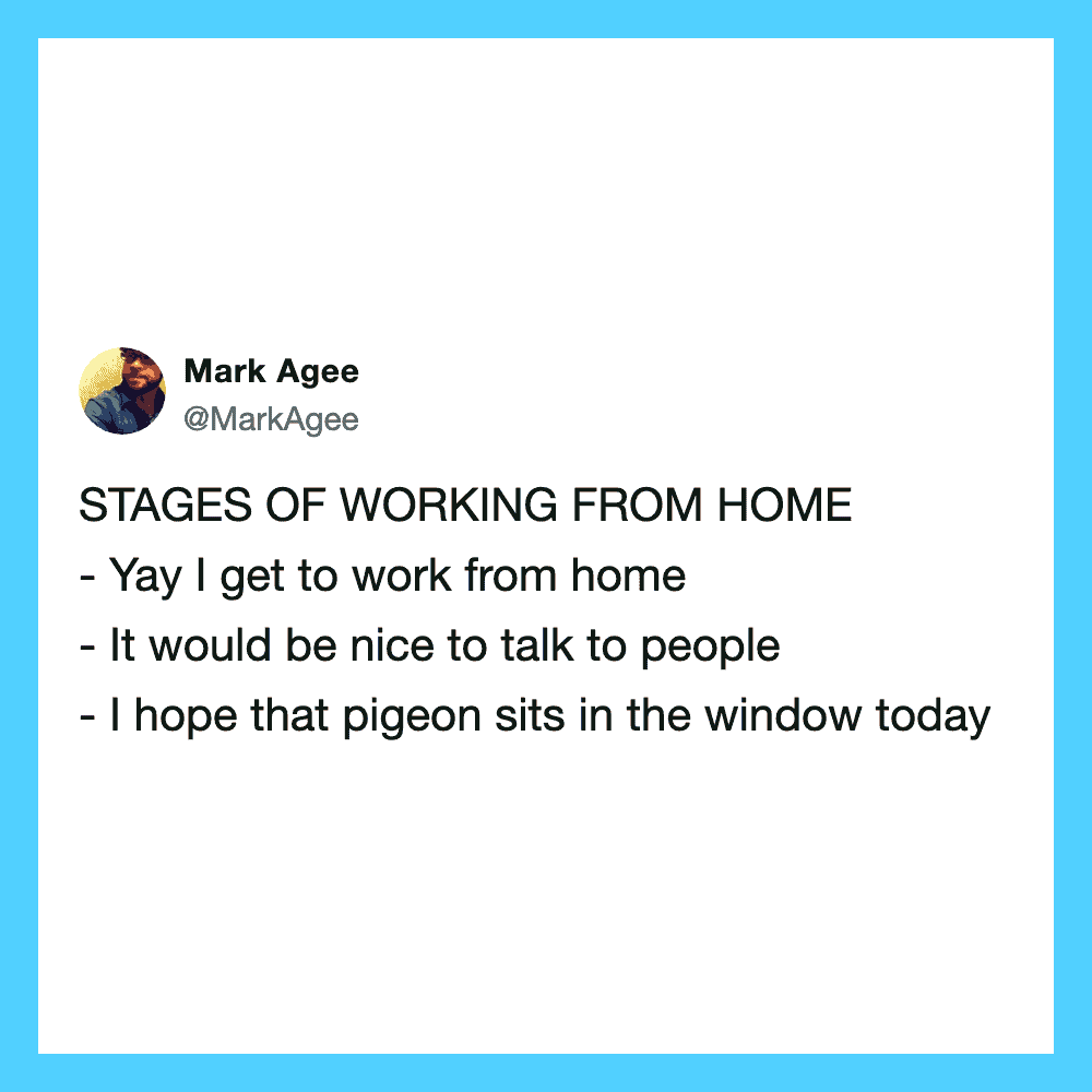 enjoying it, talking to people, hoping the pigeon sits in the window.