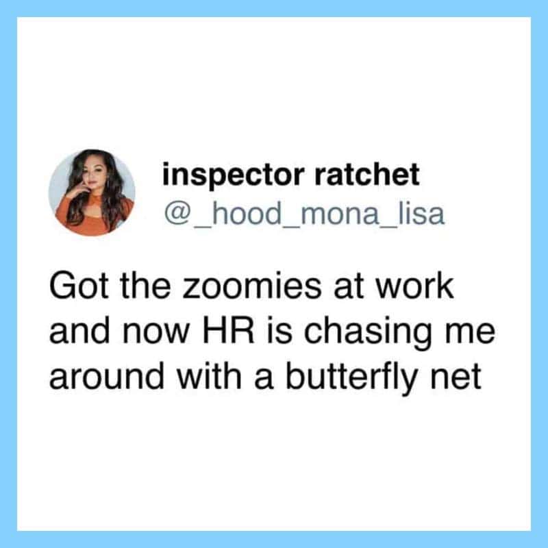 Inspector ratchet tweet about zoomies and HR chasing with a butterfly net.